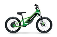 Kawasaki Elektrode 20 2025 - Bild 1
