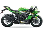 Kawasaki Ninja ZX-6R 2025 Kawasaki Ninja ZX-6R 2025