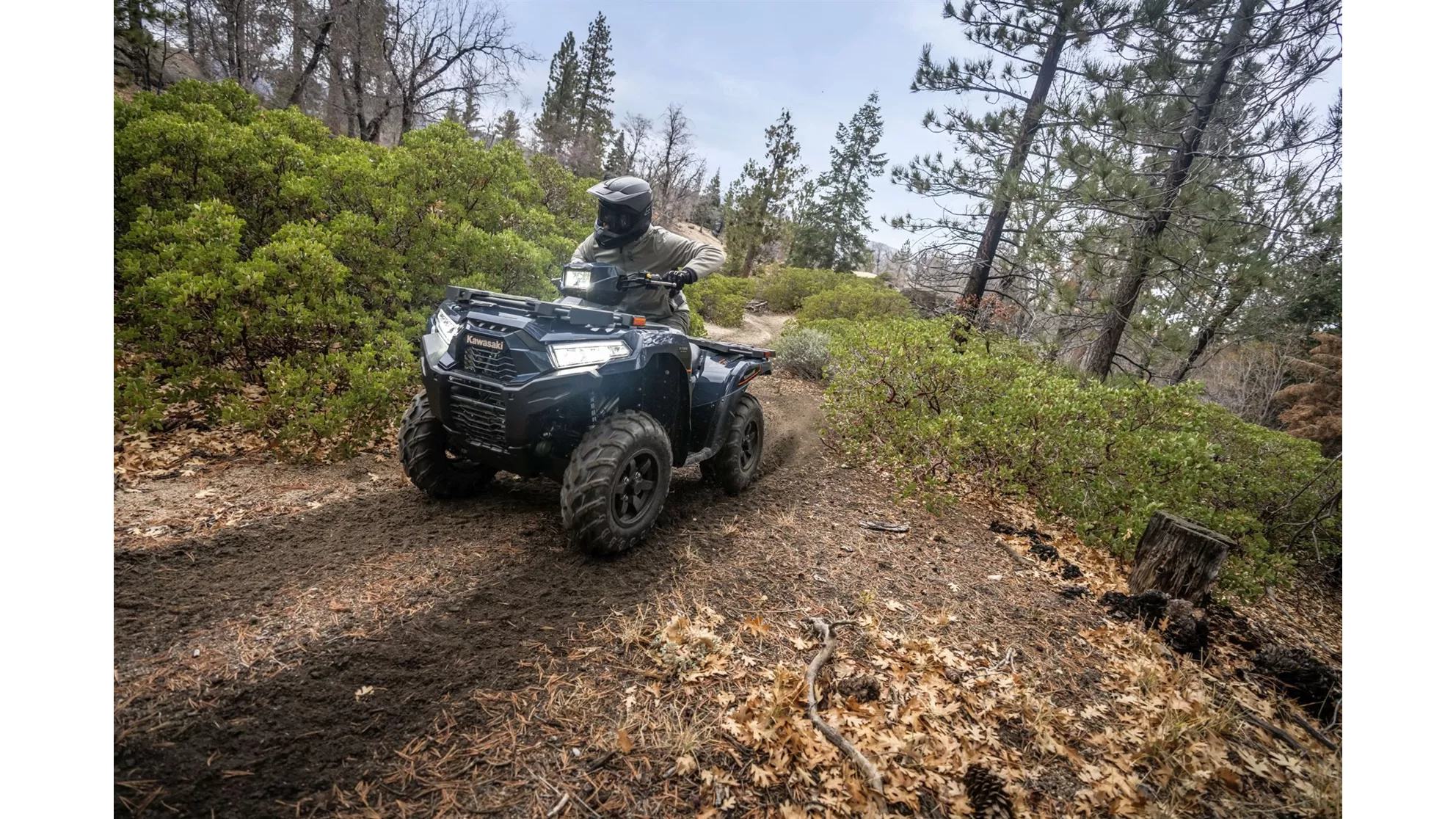 Kawasaki Brute Force 750 - Image 1 Kawasaki Brute Force 750 - Image 1