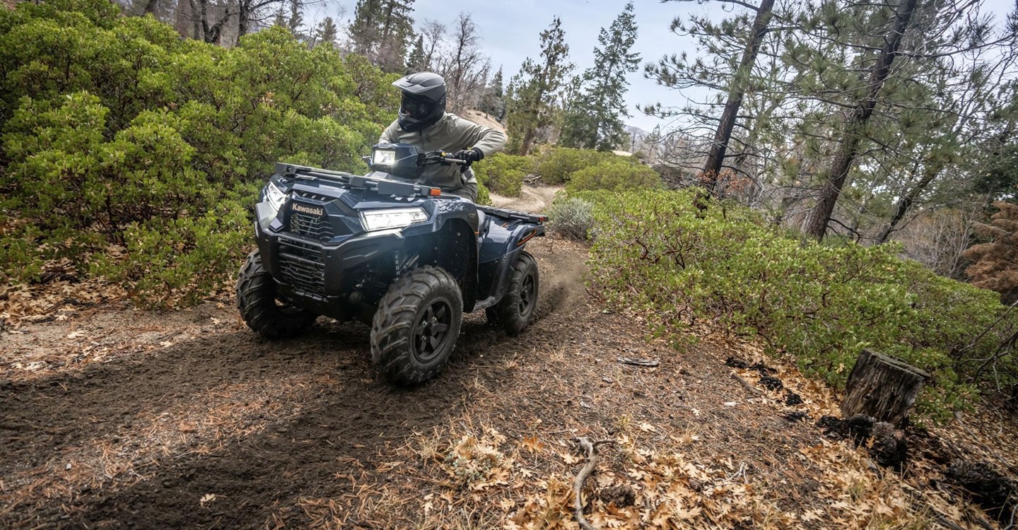 Kawasaki Brute Force 750