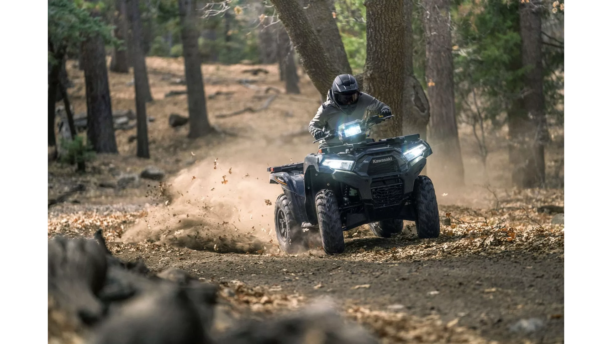 Kawasaki Brute Force 750 - Image 11 Kawasaki Brute Force 750 - Image 11