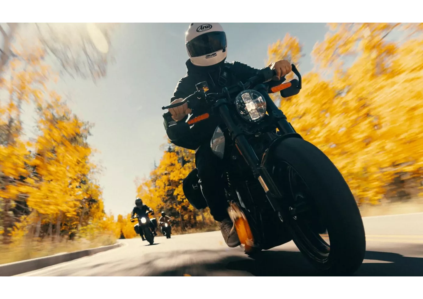 LiveWire S2 Alpinista 2025 LiveWire S2 Alpinista 2025