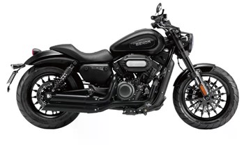 Benda Chinchilla 300 2025 - Bild 2 Benda Chinchilla 300 2025 - Bild 2