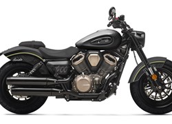 Benda Chinchilla 500