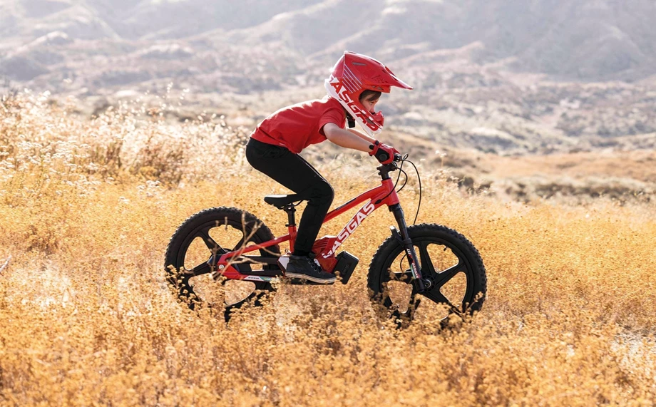 GASGAS MC-E 1.20 Bild 7: GASGAS MC-E 1.20