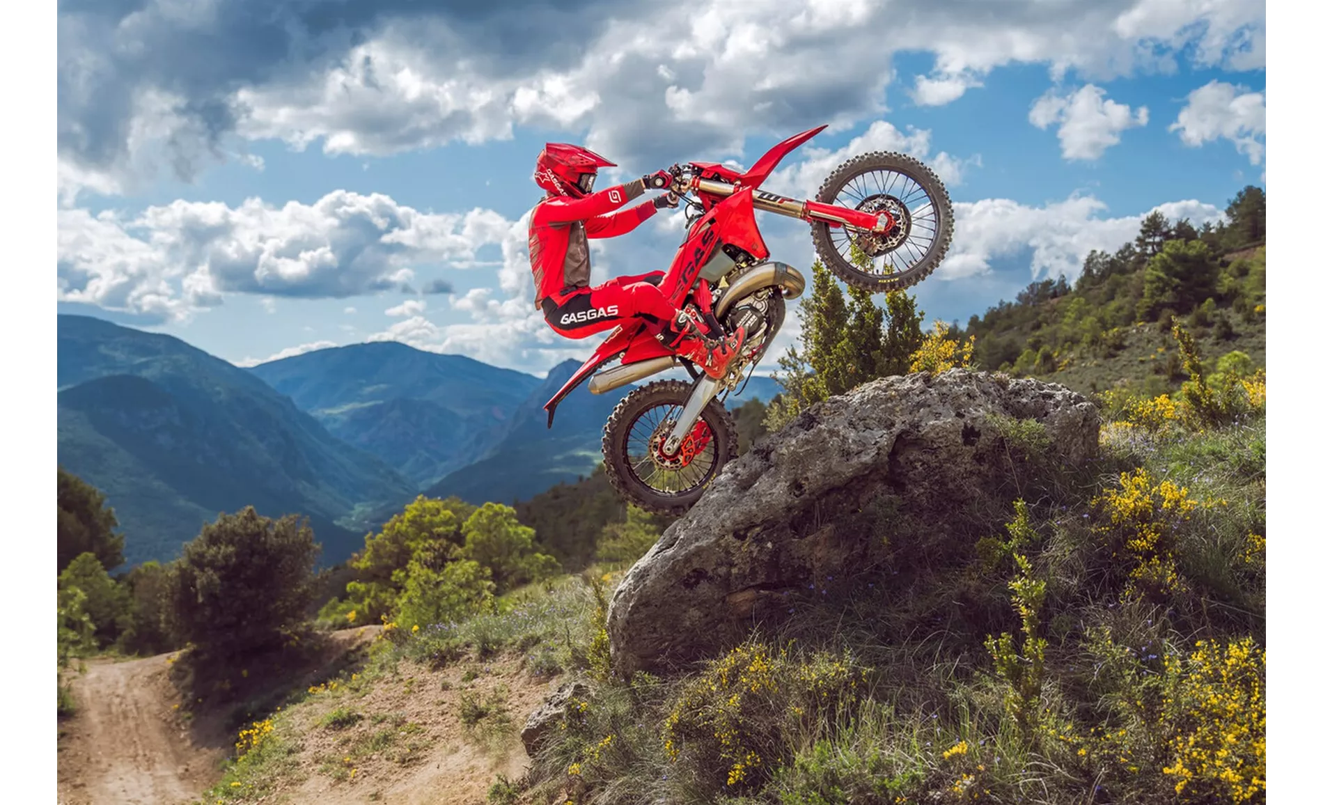 GASGAS EC 250 2025 GASGAS EC 250 2025