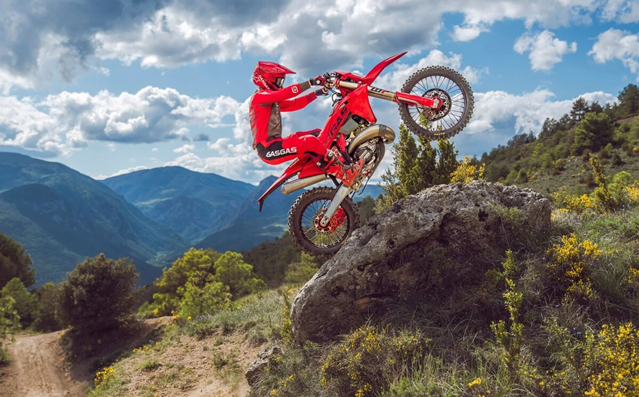 GASGAS EC 250 Bild 2: GASGAS EC 250