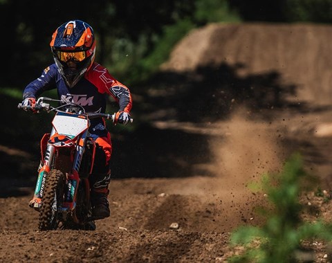 zum Vergrössern bitte anklicken!