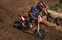 KTM 50 SX FACTORY EDITION 2026 - Bild 5