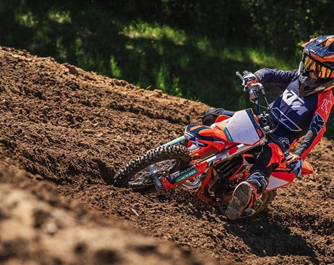 zum Vergrössern bitte anklicken!