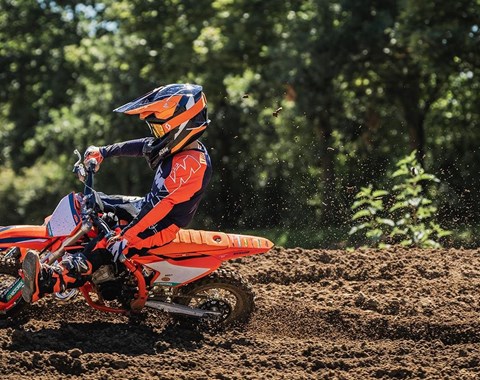 zum Vergrössern bitte anklicken!