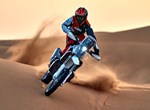 KTM 450 Rally Replica
