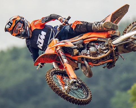 zum Vergrössern bitte anklicken!