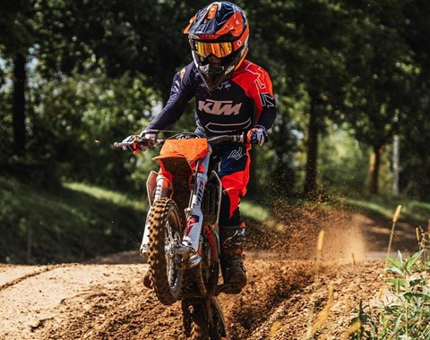 zum Vergrössern bitte anklicken!