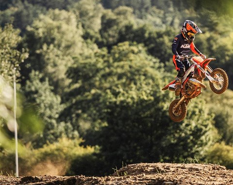 zum Vergrössern bitte anklicken!