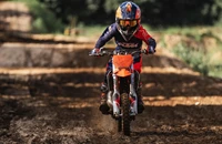 KTM 50 SX 2026 - Bild 6 KTM 50 SX 2026 - Bild 6