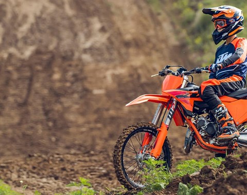 zum Vergrössern bitte anklicken!