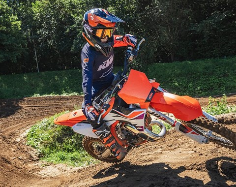 zum Vergrössern bitte anklicken!