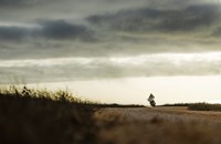 KTM 790 Adventure 2026 - Bild 16