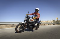 Royal Enfield Bear 650 2026 - Bild 3