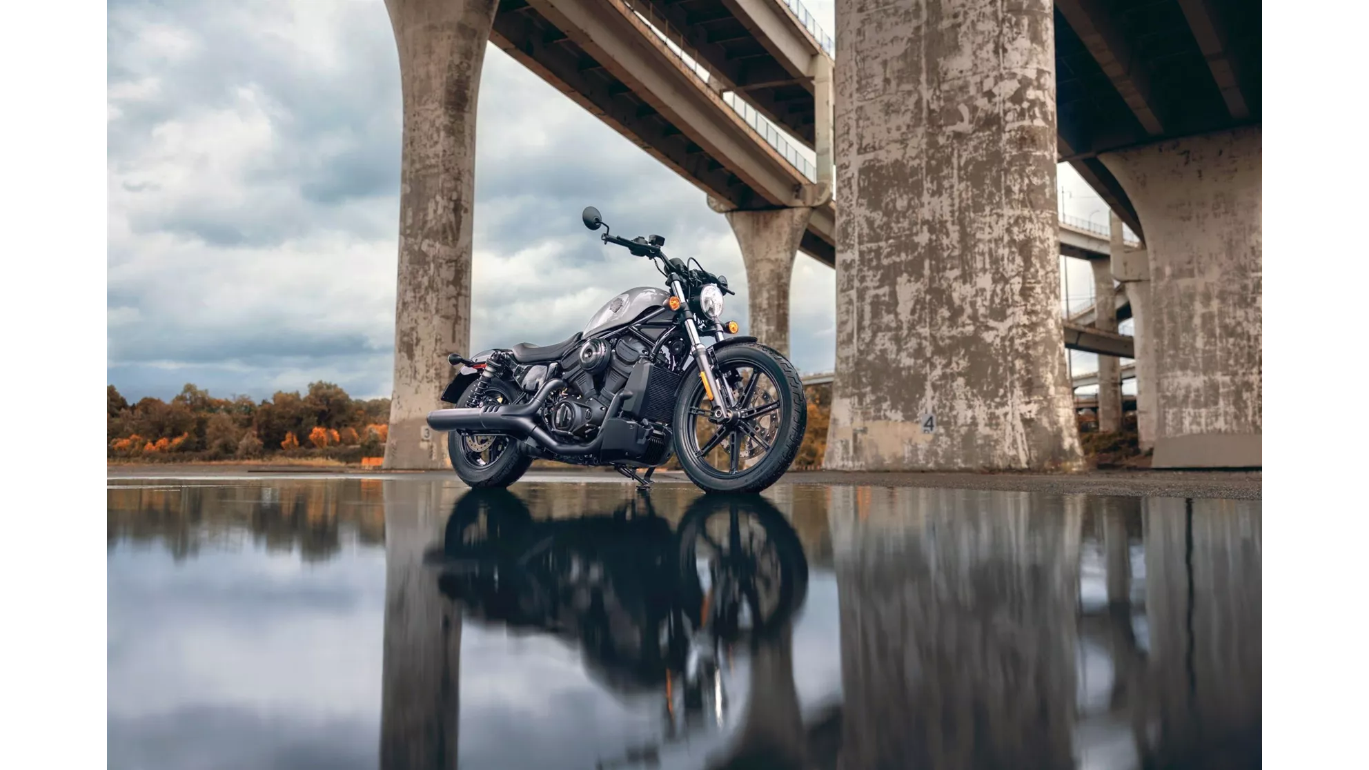 Harley-Davidson Nightster - Image 4 Harley-Davidson Nightster - Image 4