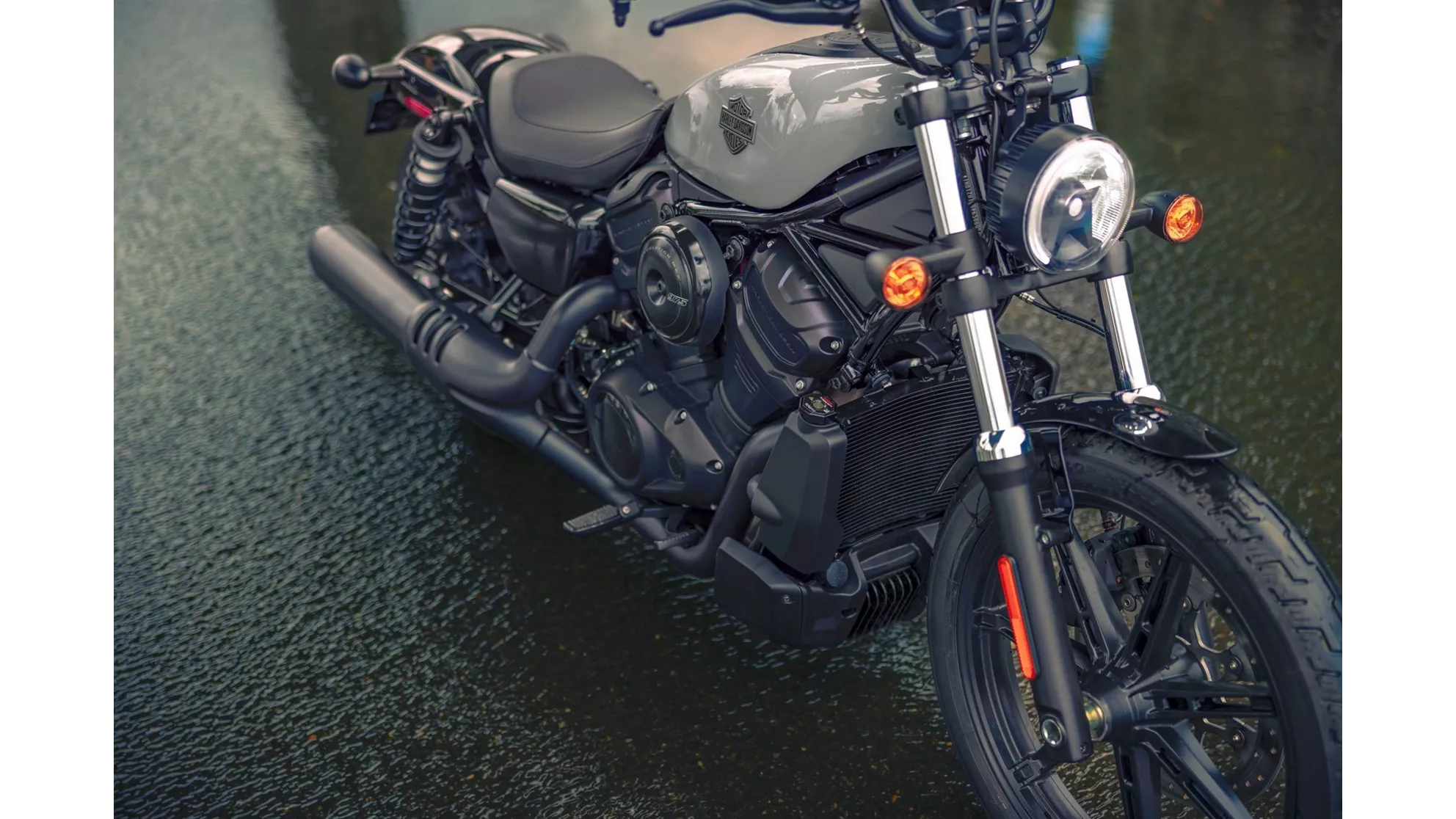 Harley-Davidson Nightster - Image 11 Harley-Davidson Nightster - Image 11