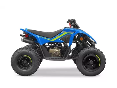 CFMOTO CForce 110 2026 CFMOTO CForce 110 2026