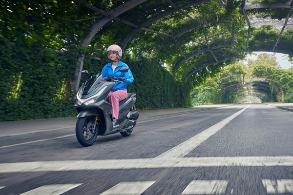 Honda PCX125 DX () - Bild 2