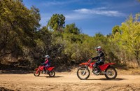 Honda CRF 50 F 2026 - Bild 4