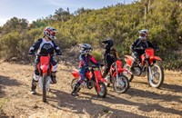 Honda CRF 50 F 2026 - Bild 6