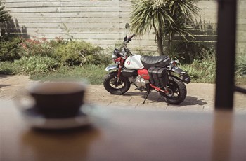 Honda Monkey 125 2026 - Immagine 4