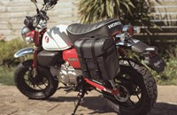 Honda Monkey 125 2026 - Bild 5