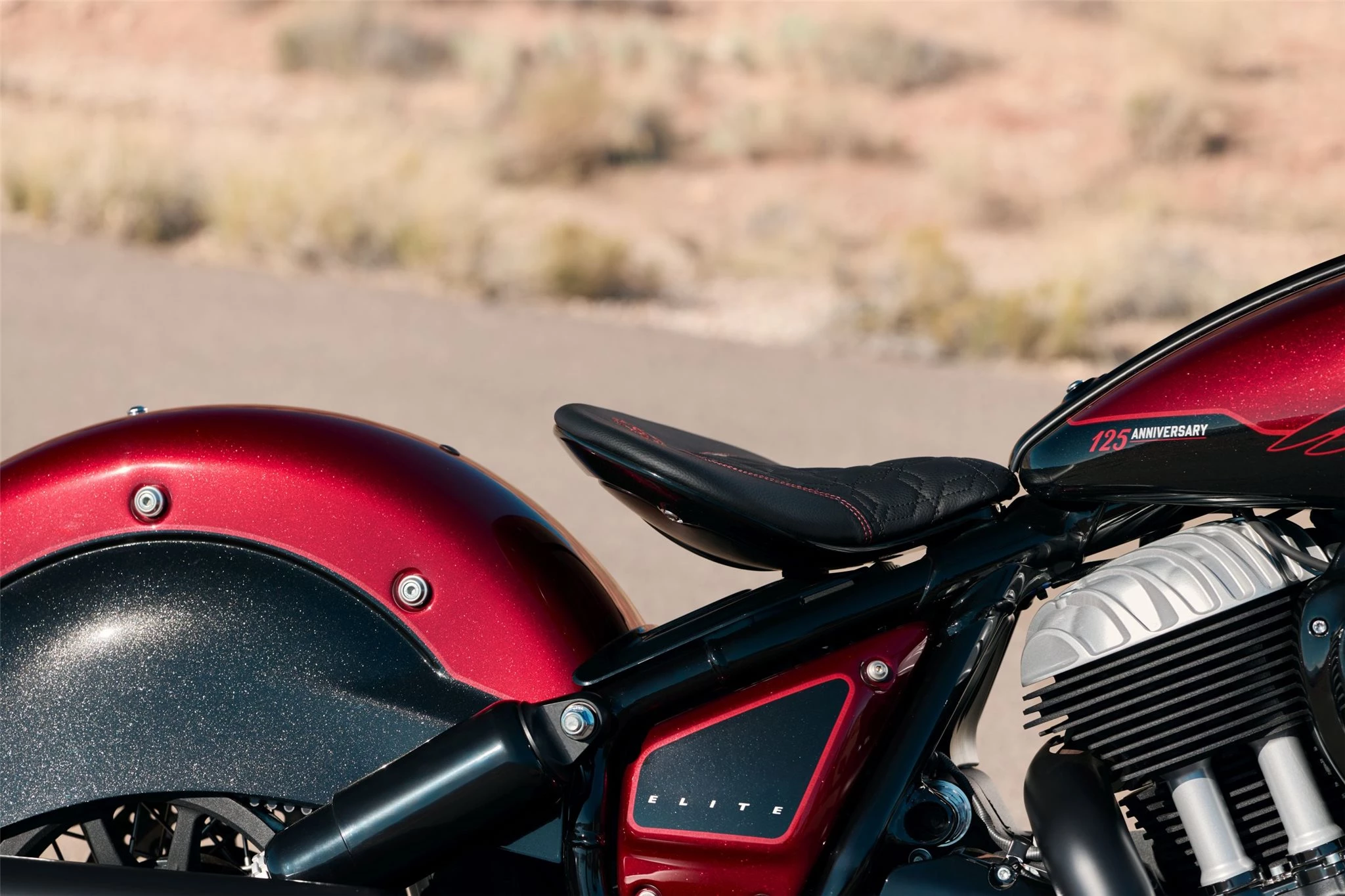 Bild 8: Indian Chief Vintage 125th Anniversary Edition 