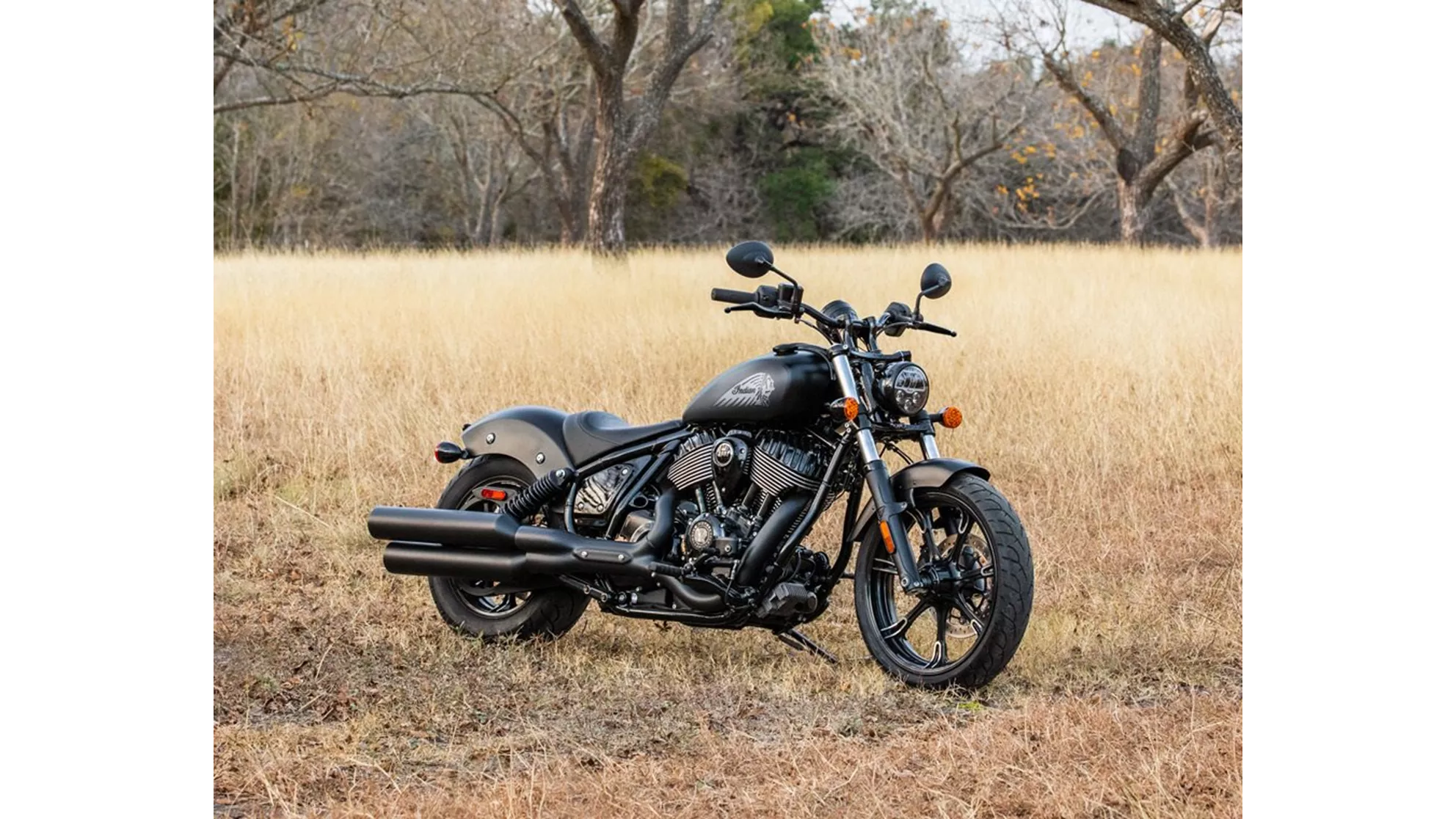 Indian Chief Dark Horse - Imagen 6 Indian Chief Dark Horse - Imagen 6