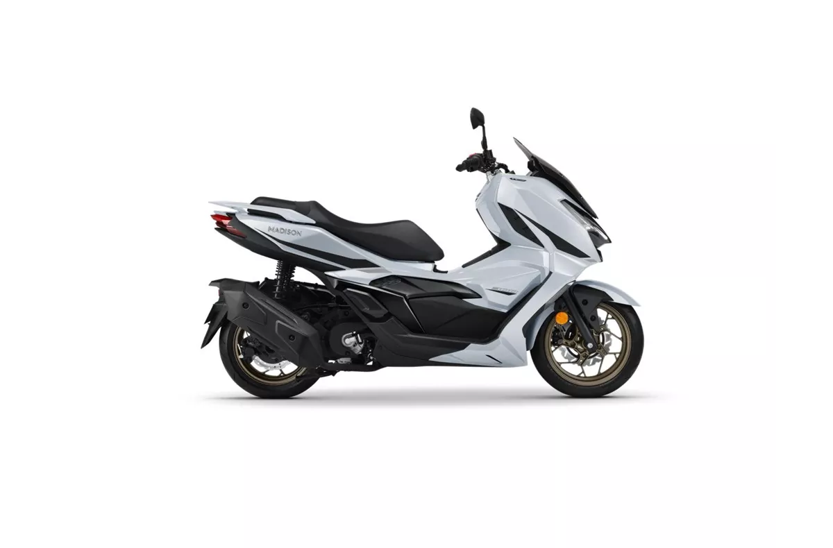 Malaguti Madison 300 Malaguti Madison 300