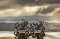 Suzuki GSX-8TT 2026 - Bild 8