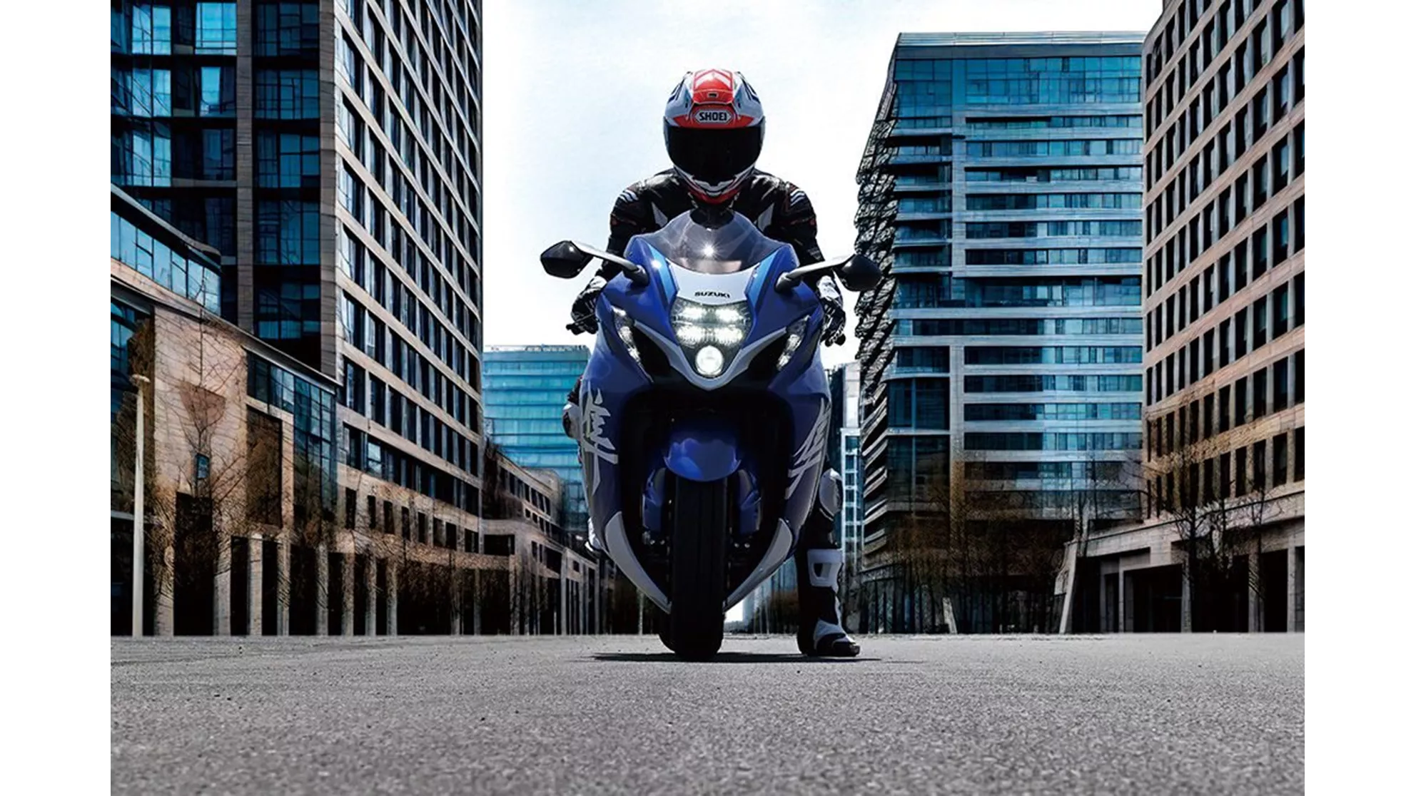 Suzuki Hayabusa Special Edition - Immagine 5 Suzuki Hayabusa Special Edition - Immagine 5