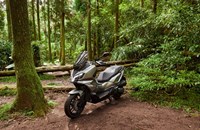 Sym ADX 300 2026 - Bild 3