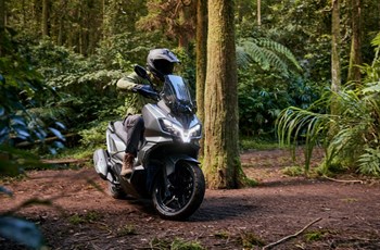 Sym ADX 300 2026 - Bild 4