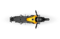 Triumph Trident 660 2026 - Bild 17