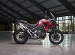 Triumph Tiger 1200 GT PRO