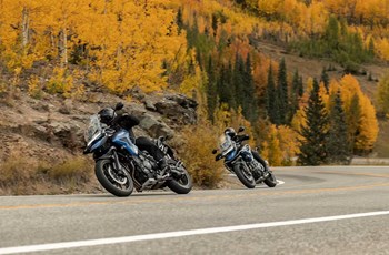 Triumph Tiger 1200 GT PRO 2026 - Bild 18