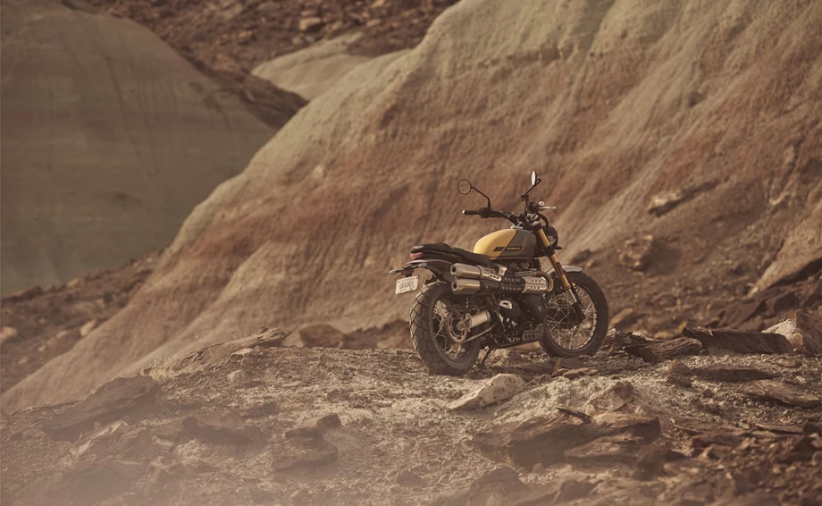 Triumph Scrambler 900 Bild 10: Triumph Scrambler 900