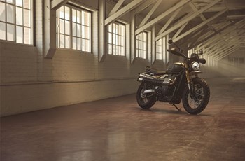 Triumph Scrambler 900 2026 - Bild 6 Triumph Scrambler 900 2026 - Bild 6