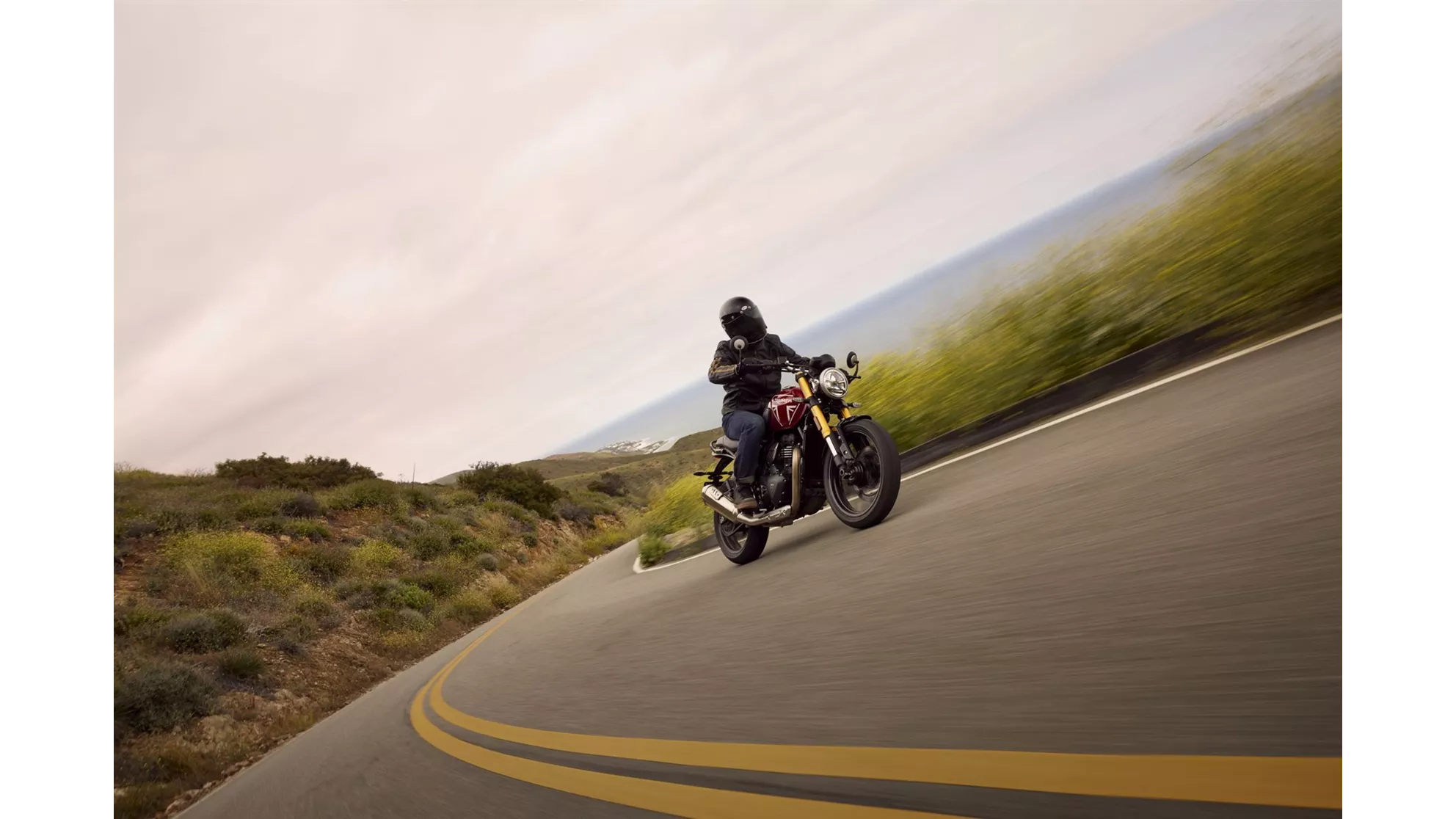 Triumph Speed 400 - Image 7 Triumph Speed 400 - Image 7