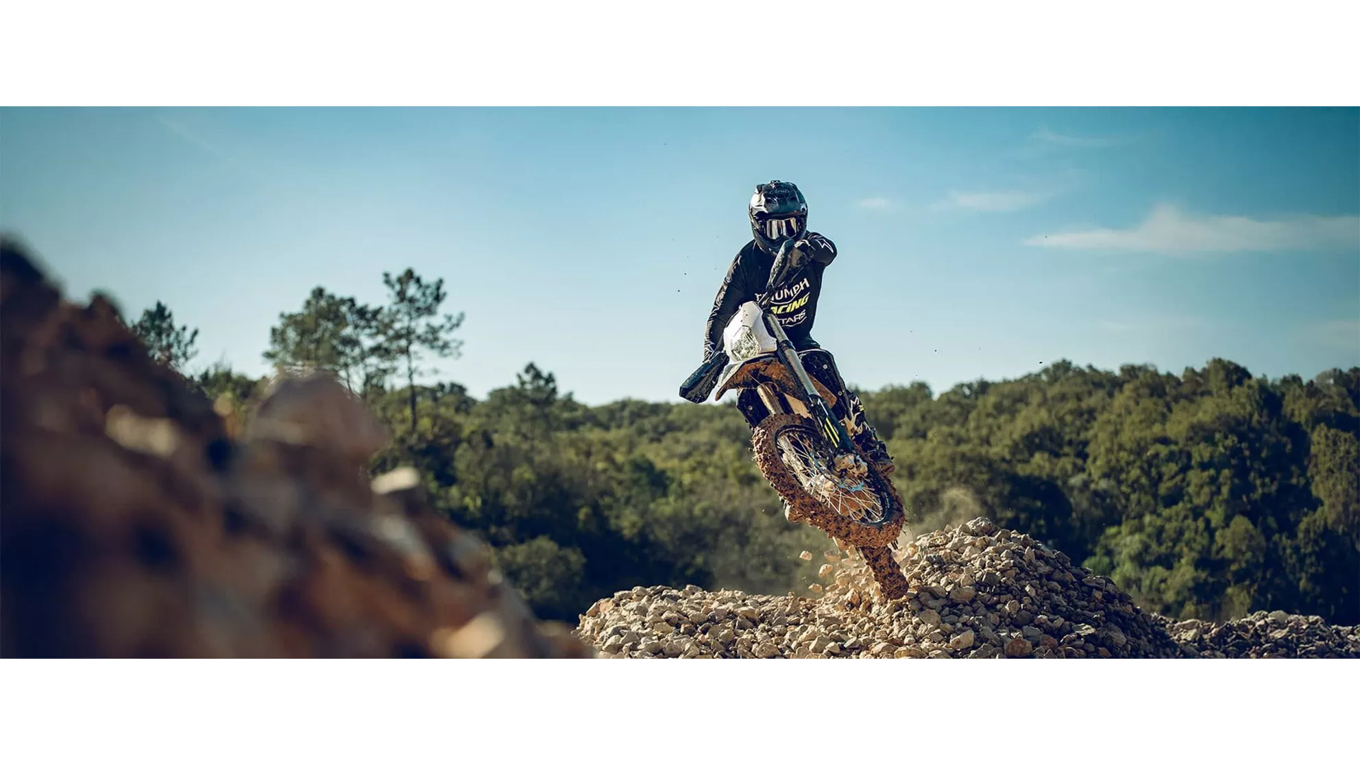 Triumph TF 450-E - Immagine 6 Triumph TF 450-E - Immagine 6