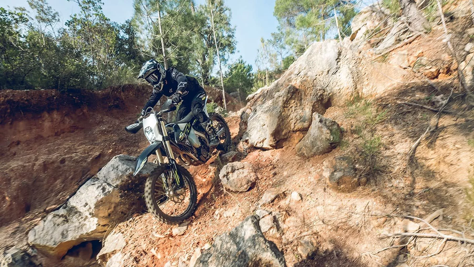 Triumph TF 250-E - Immagine 4 Triumph TF 250-E - Immagine 4