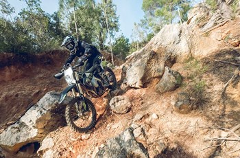 Triumph TF 250-E 2026 - Bild 7