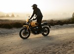 Triumph Scrambler 400 XC