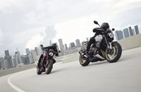 Triumph Trident 800 2026 - Bild 15 Triumph Trident 800 2026 - Bild 15